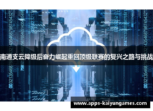 南通支云降级后奋力崛起重回顶级联赛的复兴之路与挑战 南通支云降级后奋力崛起重回顶级联赛的复兴之路与挑战