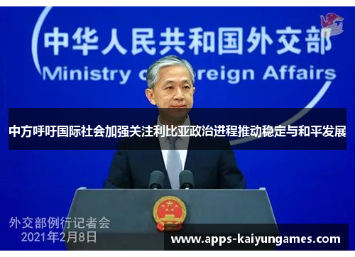 中方呼吁国际社会加强关注利比亚政治进程推动稳定与和平发展